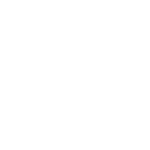 politique-de-confidentialite-icon