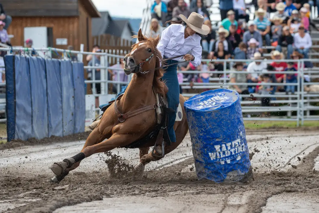 rodeo
