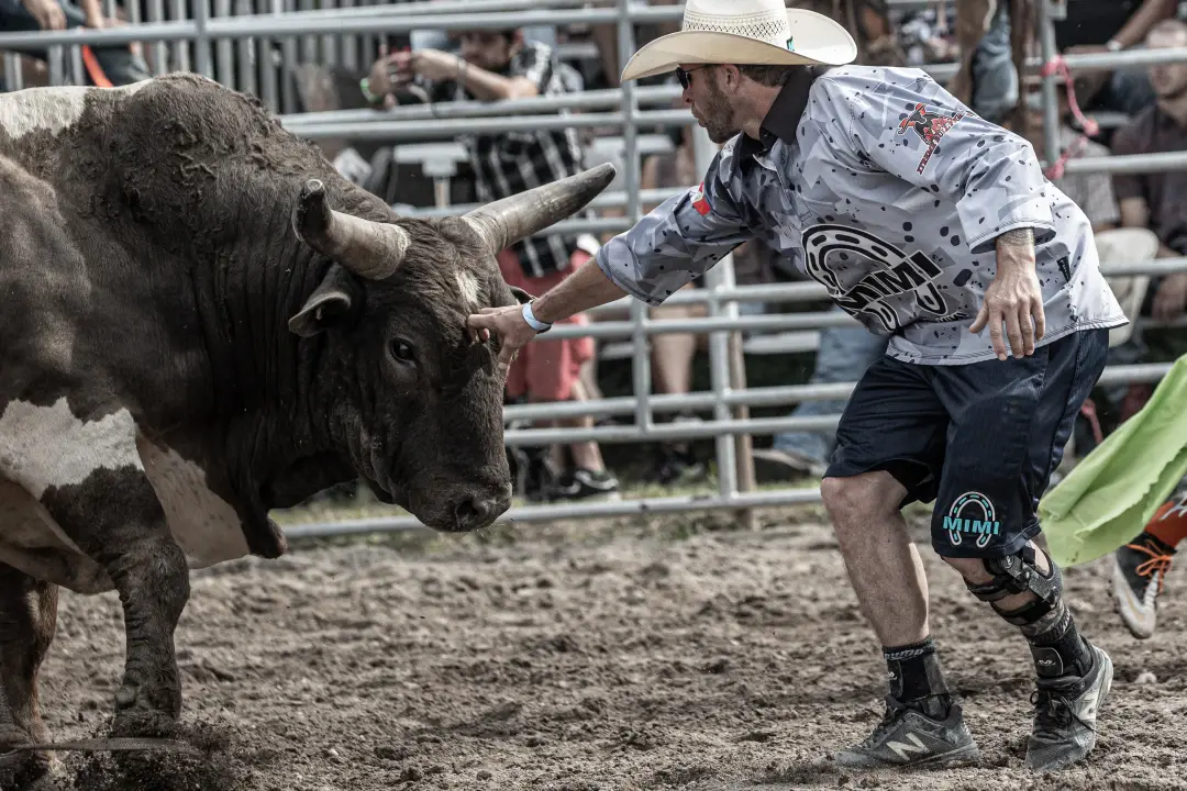 rodeo